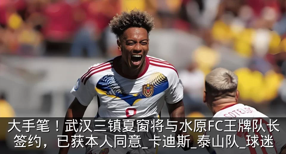 大手笔!武汉三镇夏窗将与水原FC王牌队长签约,已获本人同意_卡迪斯_泰山队_球迷